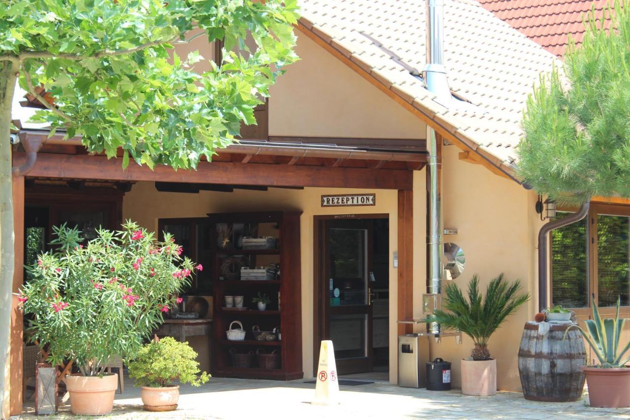 רוסט Pension Vanii, Apartments מראה חיצוני תמונה