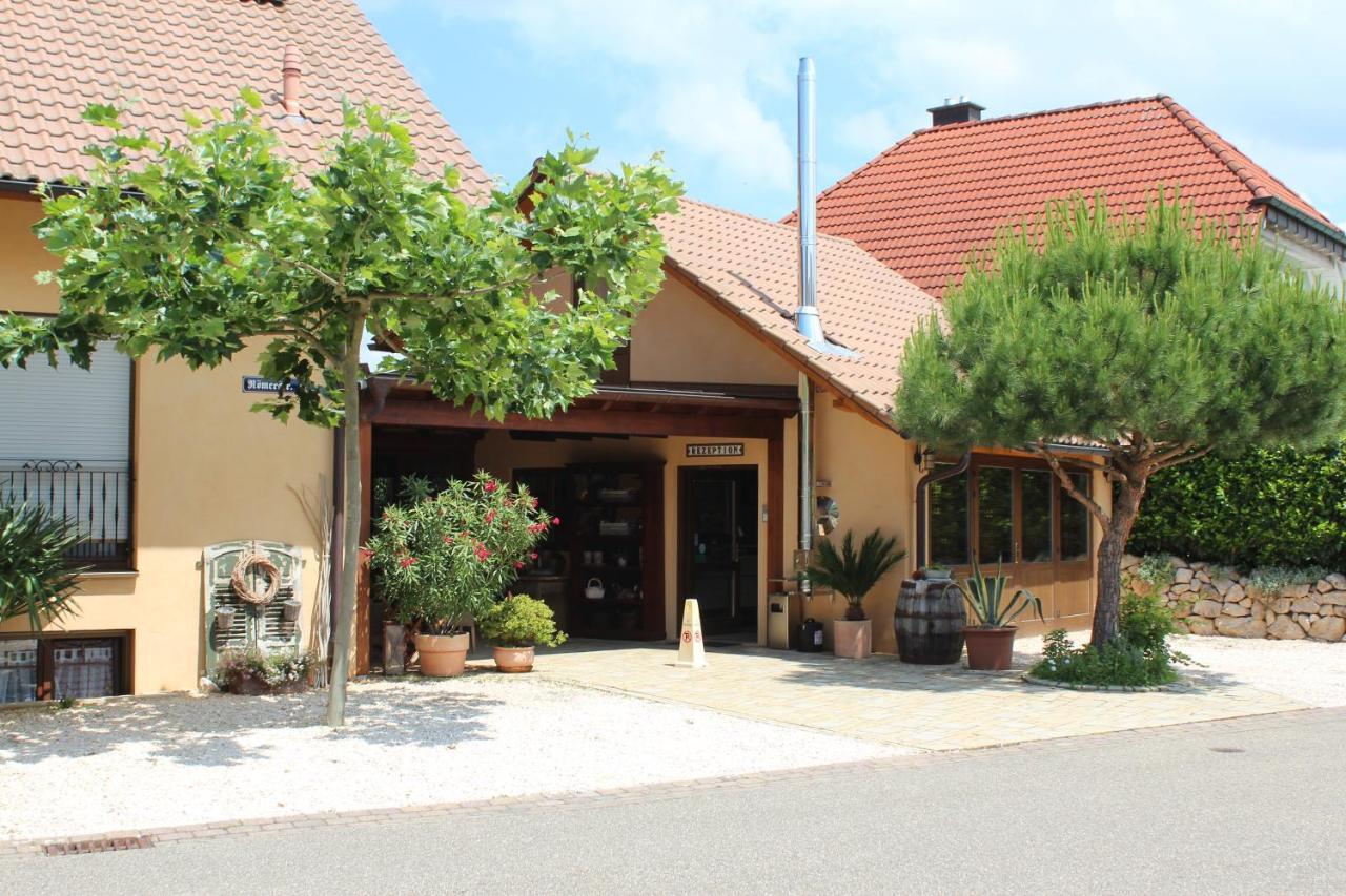 רוסט Pension Vanii, Apartments מראה חיצוני תמונה
